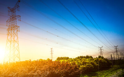 Comment les entreprises françaises doivent-elles se préparer à d’éventuelles coupures de courant ?